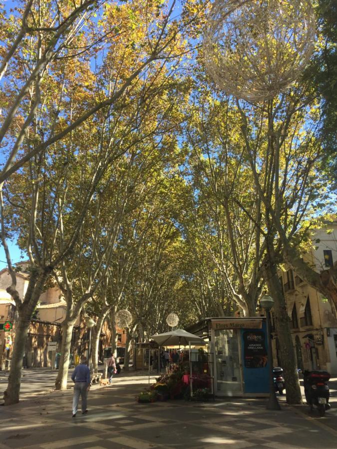 Cream Homes La Rambla, Turismo De Interior Palma de Mallorca Zewnętrze zdjęcie