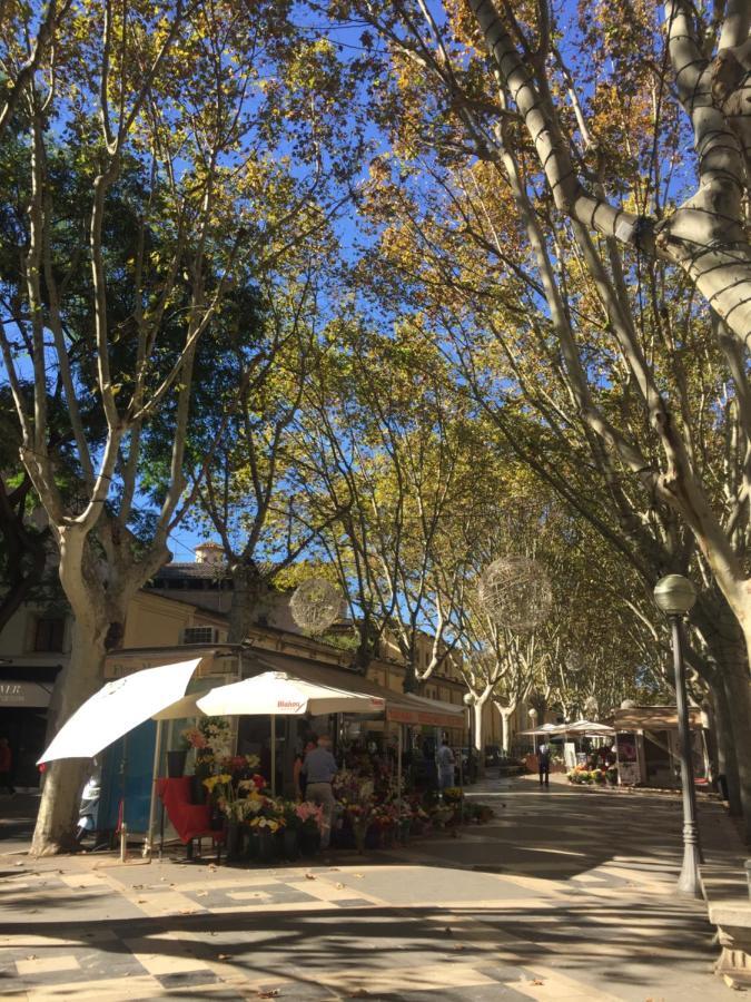 Cream Homes La Rambla, Turismo De Interior Palma de Mallorca Zewnętrze zdjęcie