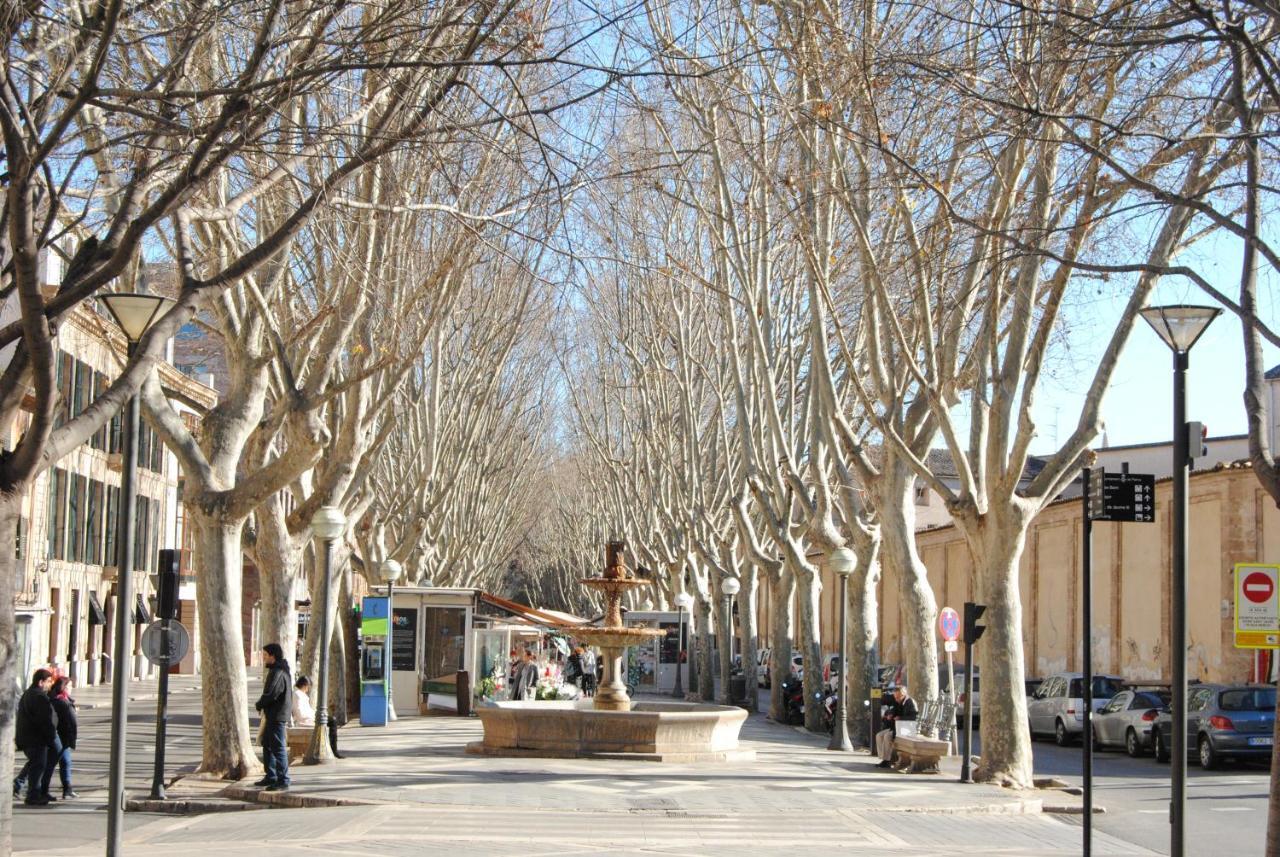 Cream Homes La Rambla, Turismo De Interior Palma de Mallorca Zewnętrze zdjęcie